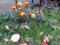 DSCN4494.JPG