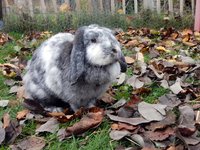 DSCN4497.JPG