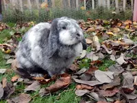 DSCN4497.webp