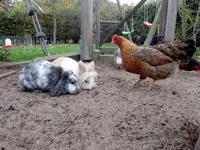 DSCN4505.webp