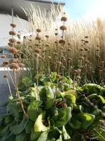DSCN4472.webp