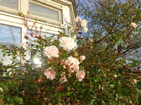 DSC02712.JPG