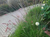 IMG_20221023_165006.jpg