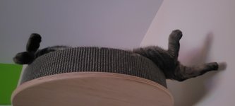 20221029_205515.jpg