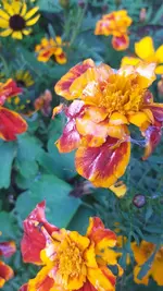 20221030_151913.webp