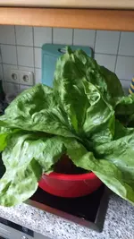 20221029_154117.webp