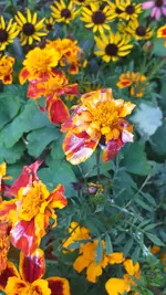 20221030_151936.webp