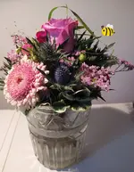 IMG_20221026_172639.webp