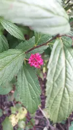 20221030_152030.webp