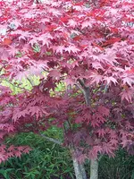 IMG_20220915_151129_1.webp