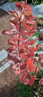 20221031_121057.webp