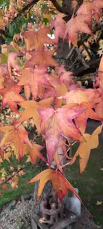 20221031_160551.webp