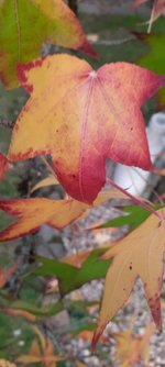 20221031_160611.jpg