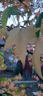 20221031_160626.webp