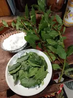 IMG_20221028_132701.webp