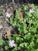 IMG_20221101_121601.webp