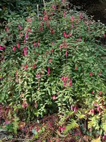 IMG_20221101_121136.webp
