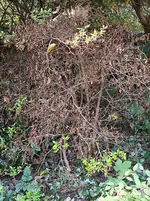 IMG_20221101_121158.webp IMG_20221101_121158.webp