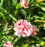 20221101_180302.webp
