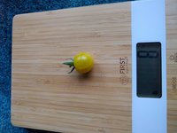 IMG_20220719_075258448.jpg
