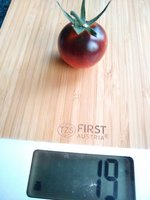 IMG_20220728_211712561.jpg