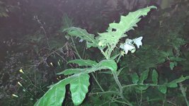 IMG_20221029_185820.jpg