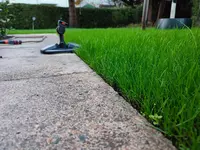 1667403416051.jpg