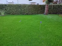 1667401518603.jpg