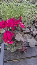20221103_083327.webp