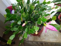 IMG_20221103_093736.jpg