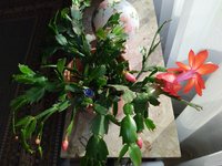 IMG_20221103_093651.jpg