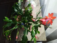 IMG_20221103_093651.webp
