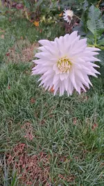 20221103_091330.webp