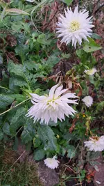 20221103_091340.webp