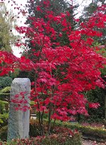 IMG_20221029_123546.jpg