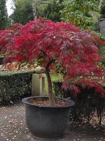 IMG_20221029_124208.jpg