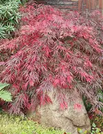 IMG_20221029_124309.webp