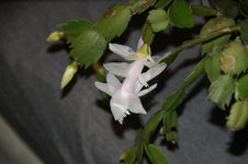 DSC00471.JPG
