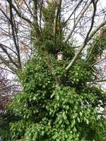 P1090440.webp