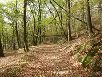 P1090480.JPG