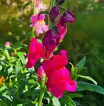 20221105_091545.webp