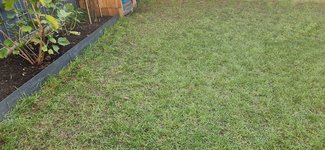 20221106_140330.jpg
