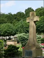 c070.webp
