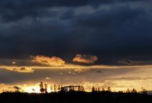 IMG_20221105_161229.jpg