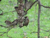 DSC02723.webp