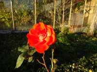 DSC02726.JPG