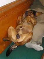 Herbert mit Hund 1.jpg
