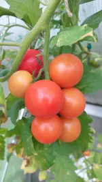 20221109_101401.webp