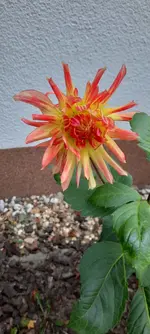 20221109_161018.webp
