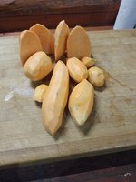 IMG_20221109_181517.jpg